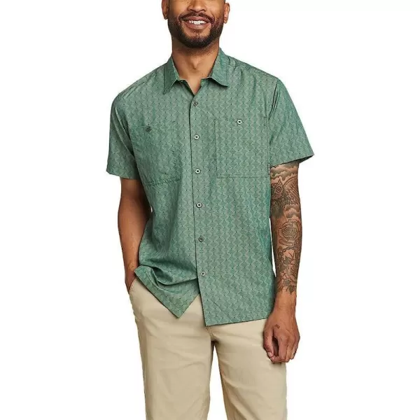 Regular Olive