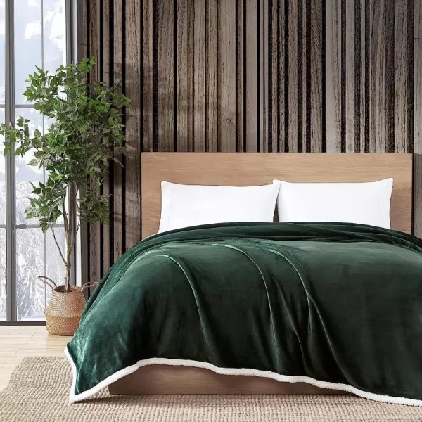 imageEddie Bauer Twin Blanket Ultra Soft amp Cozy Plush Home Dcor All Season Bedding Solid Tan TwinTwin Green