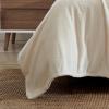 imageEddie Bauer  Twin Blanket Ultra Plush Bedding Lightweight Home Decor for All Seasons Fern Garden Green TwinIvory