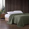 imageEddie Bauer  Twin Blanket Ultra Plush Bedding Lightweight Home Decor for All Seasons Fern Garden Green TwinSolid Green