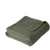 imageEddie Bauer  Twin Blanket Ultra Plush Bedding Lightweight Home Decor for All Seasons Fern Garden Green TwinSolid Green