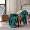 imageEddie Bauer Throw Blanket Ultra Soft Plush Fleece Bedding Home Decor for All Seasons 50 x 70 Americana Plaid RedBuddy the Dog Green