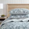 imageEddie Bauer  Queen Quilt Set Cotton Reversible Bedding with Matching Shams Lightweight Home Decor for All Seasons Salmon Ladder Multi QueenFern Garden Green