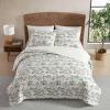 imageEddie Bauer  Quilt Set Super Soft Bedding with Matching Sham Silky Smooth ampamp Breathable Classic Home Essentials Diamond Floral Green TwinAlani Island Conversation Beige
