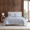 imageEddie Bauer  Quilt Set Super Soft Bedding with Matching Sham Silky Smooth ampamp Breathable Classic Home Essentials Wes Fish Blue TwinWes Fish Blue
