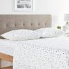 imageEddie Bauer  Twin Sheet Set Cotton Percale Bedding Set Crisp ampamp Cool Home Decor Dorm Room Essentials Sea Planes Blue TwinCampout WhiteNavy