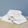 imageEddie Bauer  Twin Sheet Set Cotton Percale Bedding Set Crisp ampamp Cool Home Decor Dorm Room Essentials Sea Planes Blue TwinFishing Flies WhiteRedBlue