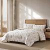 imageEddie Bauer  FullQueen Comforter Set Super Soft Reversible Bedding with Matching Sham Floral ampamp Pinstripe Design Wildflower Beige FullQueenWildflower Beige