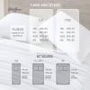 imageEddie Bauer  Twin Sheets Cotton Flannel Bedding Set Brushed For Extra Softness Cozy Home Decor Beacon Hill Ivory TwinBeacon Hill GreyIvory