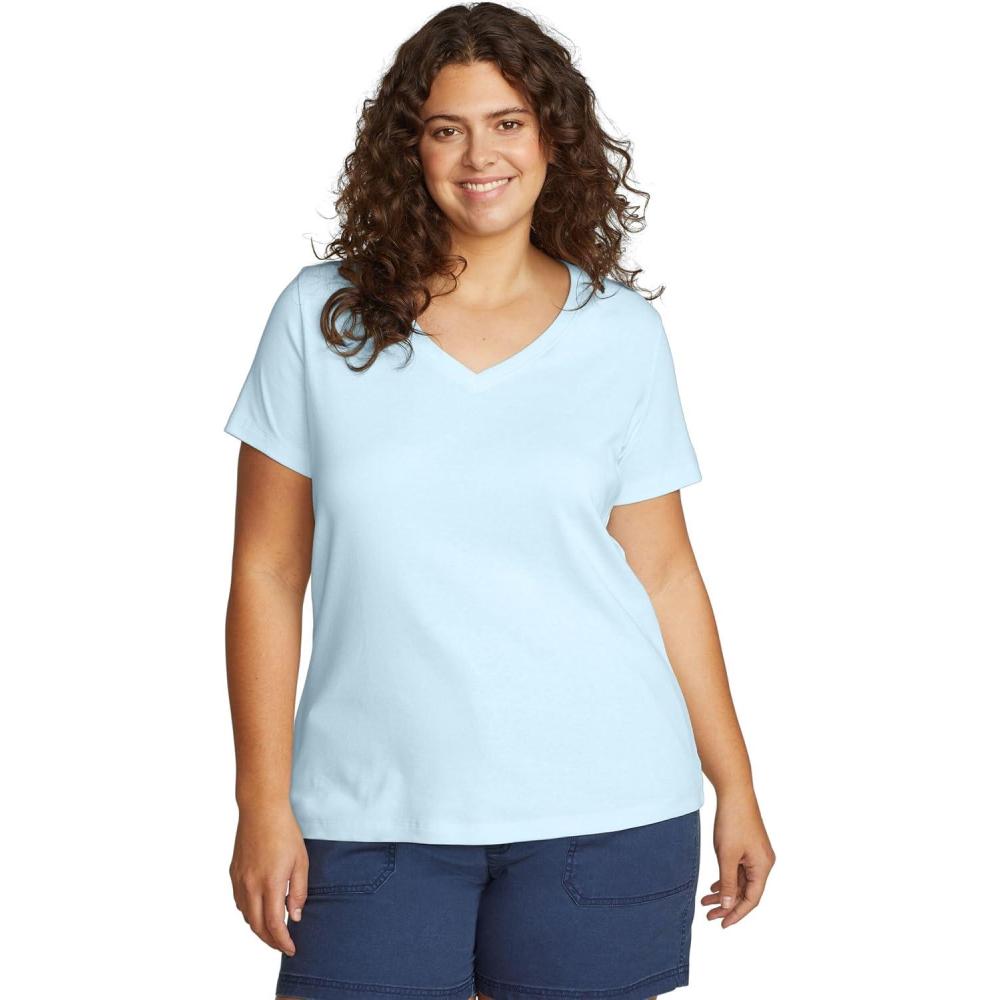 imageEddie Bauer Womens Favorite ShortSleeve VNeck TShirtPale Blue