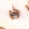 imageWrangler Western Earrings Concho Dangling Retro Lightweight Jewelry for Women CowgirlBred bronze