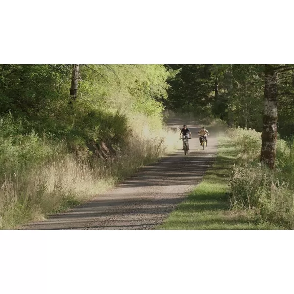 Hover-1 Pro Series Altai R500/R750 Electric Bicycle with 28 mph Max Speed, 750W/500W Motor