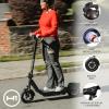 imageH1 Pro Series Ace R350R450 Foldable Electric Scooter with 350W450W Brushless Motor 155 to 20 mph Max Speed 10 SelfSealing Tubeless Tires and 185 to 256 Mile RangePurple