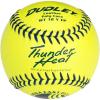 imageDudley USSSA Thunder Heat Fast Pitch Softball  12 pack