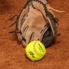 imageDudley NFHS SB 12 Fastpitch Softball12Pack  Yellow