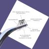 imageKISS imPRESS Falsies Long Lasting Self Adhesive Eyelashes Demi Edgy 5 Day Extended Wear 24 Natural Volume Lash Clusters 5681012 ampamp 14mm Precision NonStick Applicator