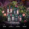 imageWICKED X imPRESS Press On Nails New Improved Adhesive Up To 10 Day Hold The Green Elixir Green Short Oval Includes 30 Fake Nails 1 Prep Pad 1 Manicure Stick 1 Mini FileFloating Over OZ