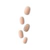 imageKISS imPRESS No Glue Mani Press On Nails Design Evanesce Beige Short Size Oval Shape Includes 30 Nails Prep Pad Instructions Sheet 1 Manicure Stick 1 Mini File
