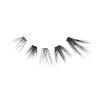 image:imageKISS Lash Couture Luxtensions False Eyelashes Lash Extension Kit 40 Reusable Lash Clusters 12mm Tweezers Spoolie SemiPermanent Lash Adhesive amp RemoverKit