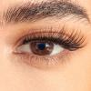 image:imageKISS Lash Couture The Muses Holiday False Eyelashes Legacy 12mm Volumizing Crisscross Lash Pattern Faux Silk Finish Vegan CrueltyFree Lightweight 1 Pair  Lash Glue NET WT 1g 0035 ozLegacy