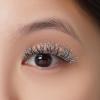 image:imageKISS Halloween Limited Edition Funky Vampire False Eyelashes 1 Pair  Pink BloodAbracadabra