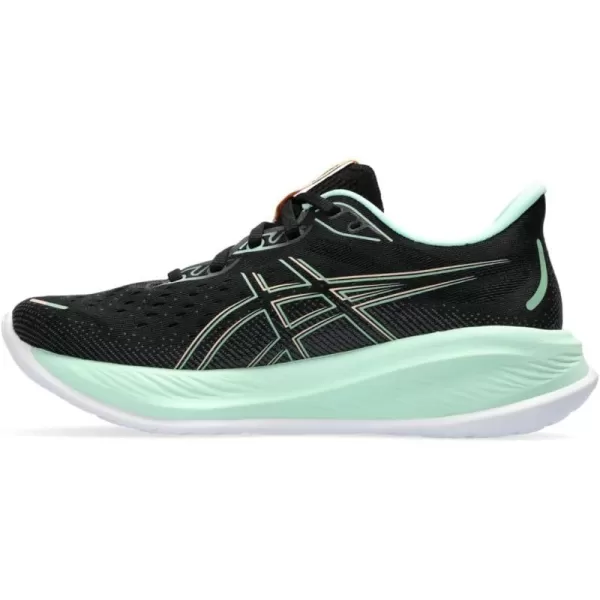 Black/Mint Tint
