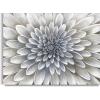 imageYihui Arts Wild Sunflower Wall Art Framed Painting Pictures With Gold Foil For Farmhouse Living Room DecorationWhite Flower
