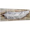 Feather