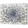 White Flower