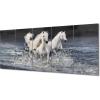 Abstract Horse