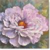 imageYihui Arts Canvas Wall Art Daisy White Bloosom Flowers Artwork Painting Prints Modern Floral Picture Framed for Bedroom Kitchen Dinning Room Office Home DecorChina Rose