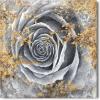 imageYihui Arts Canvas Wall Art Daisy White Bloosom Flowers Artwork Painting Prints Modern Floral Picture Framed for Bedroom Kitchen Dinning Room Office Home DecorGrey Rose
