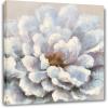 White Rose