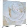 imageYihui Arts Red Poppy Canvas Wall Art  Teal Leaf Painting with Gold Foil and Textured Decor for a Mesmerizing Home AccentRose