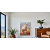 image:imageYihui Arts Funny Bathroom Wall Art Frog Reading Book Artwrok Large Painting Pictures for Home DecorHorse Artwork