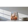 image:imageYihui Arts Funny Bathroom Wall Art Frog Reading Book Artwrok Large Painting Pictures for Home DecorHorse Artwork